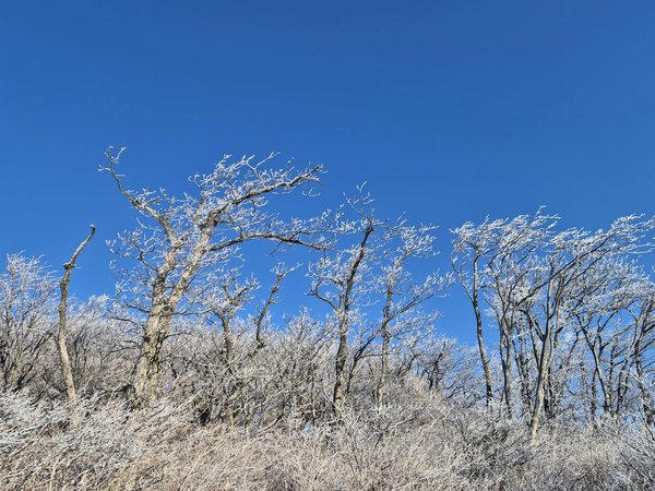 Mutuelle santé pas chère : trouvez la meilleure option adaptée à votre budget